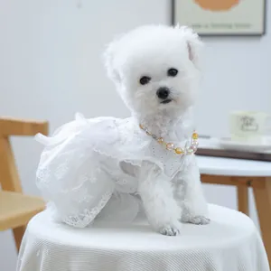 Détail d'une robe blanche en dentelle pour animal avec nœud en résille et collier perlé