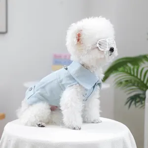 Detail van een kleine hond in lichtblauw spijkerjasje met metalen D-ring en witte shutterbril