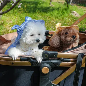 Blue and yellow plaid pet sun hats with ruffled edges worn by dogs in a stroller