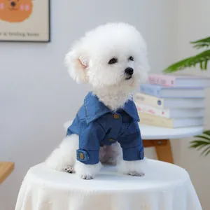Close-up of dark blue pet denim jacket with copper buttons on a white Bichon dog