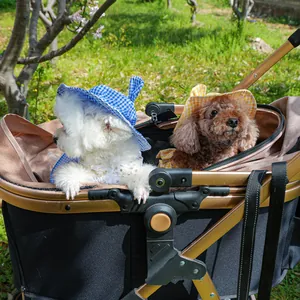Close-up of small dogs in a luxury plaid sun hat sitting in a golden pet stroller