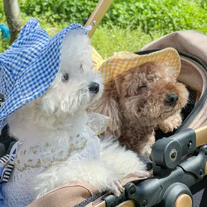 Detail of blue and yellow plaid pet sun hats with cute 3D ears on a small dog