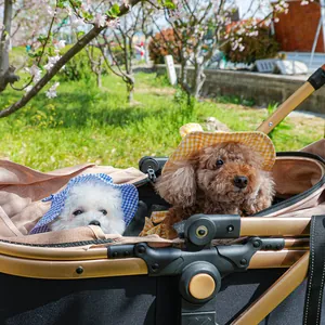 Dual small dogs in a stylish foldable champagne gold pet stroller under cherry blossoms