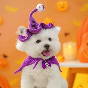 Détail de l'ensemble chapeau de sorcier et cape violette pour animaux avec crâne