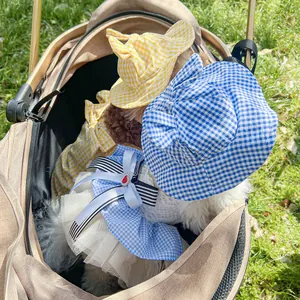 Detail of plaid pet sun hats with ear design and luxury lace dress on small dogs