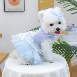 Détail de la robe bleu clair pour chien avec dentelle blanche et pince à cheveux avec nœud