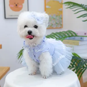 Détail d'une robe bleu clair pour animal avec broderie florale et pince à nœud perlé