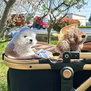 Detailed view of luxury pet stroller with golden frame and dogs in plaid sun hats