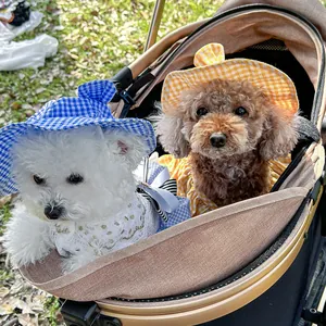 Fashionable plaid pet sun hats and matching dresses for small dogs in outdoor settings