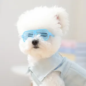 Blauwe shutter zonnebril voor kleine honden en katten op witte puppy in denim shirt