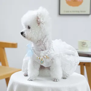 Détail de la robe en dentelle pour chien avec nœud bleu et collier de perles