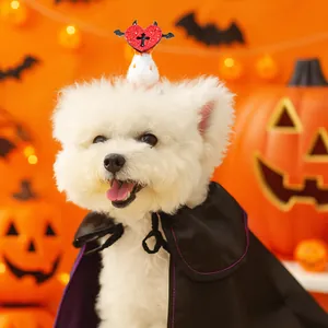 Chapeau en Tricot pour Animaux Halloween Fait à la Main au Crochet Chapeau de Sorcier pour Petits Chiens Chats Citrouille Vampire Accessoires de Fête de Costume