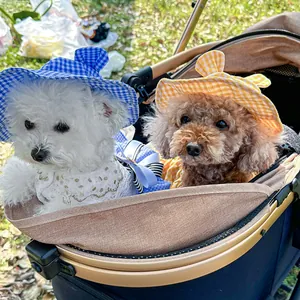 Detail view of plaid pet sun hats and lace bibs on small dogs in a pet stroller