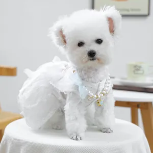 Détails d'une robe en dentelle pour animaux avec collier élégant de perles et fleurs