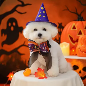 Ensemble chapeau de sorcier et nœud papillon d'Halloween pour petits chiens et chats