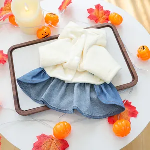 Detail van hondenpompoenjurk met gebreide top en denim rok tussen herfstdecoraties