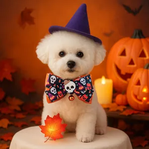 Detail of Halloween pet set featuring purple wizard hat and skull bowtie on white dog