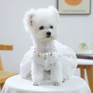 Robe blanche en dentelle pour chien avec un collier de perles bleues élégant et chic