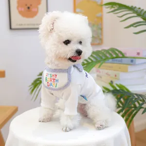 Detail of white rib-knit pet t-shirt and birthday bib set on a small white dog