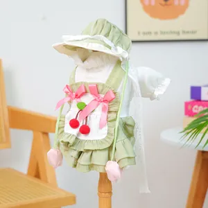 Détail de la robe d'été pour chien avec cerise et chapeau en dentelle pour petit animal