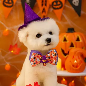 Detail of Halloween pet wizard hat and bow tie with ghost prints on a white Bichon dog
