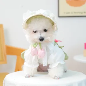 Détail de la tenue d'été pour chien avec chapeau en dentelle et chemisier tulipe