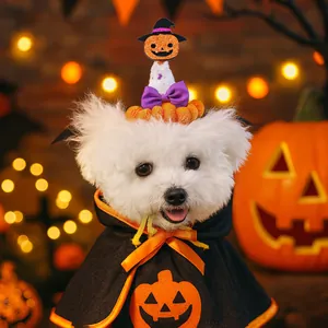 Détail de la cape d'Halloween et du chapeau pointu à motifs citrouille pour chiens et chats