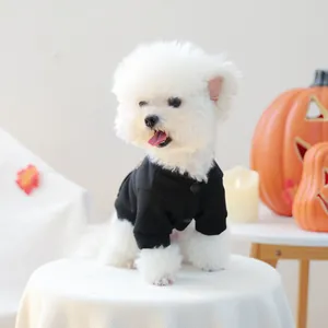 Close-up of black pet jacket with buttons on white dog near Halloween pumpkins