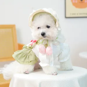 Ensemble robe et chapeau en dentelle vert clair pour petits chiens avec détail tulipe