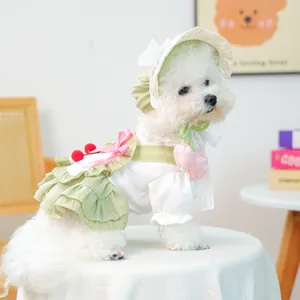 Ensemble robe et chapeau vert pour petit chien avec détails cerises et collier tulipe