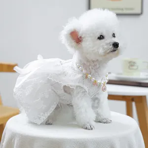 Détail d'une robe en dentelle pour animal avec nœud en organza et collier de perles