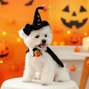 Panoplie d'Halloween pour chien blanc avec chapeau de sorcier et cape citrouille