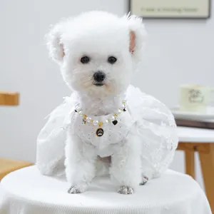 Détail d'une robe pour animal en dentelle blanche et collier de perles sur un bichon frisé