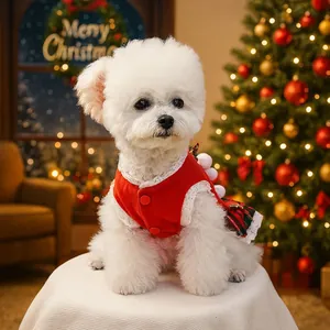Cute Christmas ginger man red plaid pet dress on a white dog by a festive tree