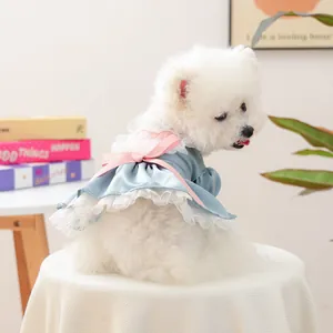 Vestito da Principessa in Raso per Animali Domestici Blu Grigio Rosa Fiocco Ricamo a Cuore Gonna a Sbuffo in Pizzo per Cani Piccoli Gatti Vestiti Festa Compleanno