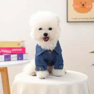 Primo piano di un piccolo cane che indossa una giacca di jeans blu classica con bottoni