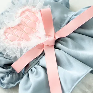 Dettaglio di fiocco in raso rosa con pizzo su vestito per animali azzurro