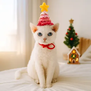 Chapeau de Festival pour Animaux de Compagnie Crocheté à la Main Design de Magicien Citrouille Arbre de Noël Chat Chien Accessoires de Costume de Fête