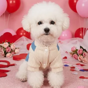 Schattig huisdierjurkje met crème gebreide top en blauwe denim rok voor kleine hond