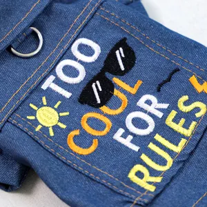 Dettaglio gilet di jeans per cani con ricamo e anello a D in metallo argentato