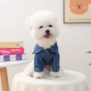 Dettaglio giacca in denim blu per cani con bottoni in metallo e colletto su un bichon