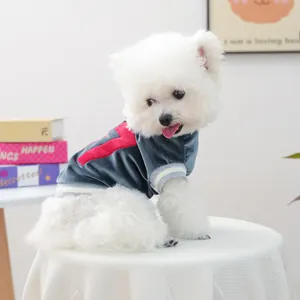 Navy velvet pet sweater with red number 7 for small dogs in cozy home setting