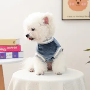 Close-up of a bichon dog wearing a navy velvet pet jersey with striped ribbed edges