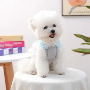 Primer plano de perro lindo con camiseta de canalé gris y cuello de encaje azul, acogedor.