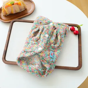 Close-up of colorful knit pet sweater with white snap buttons and chunky texture