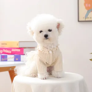 Cream white knitted dog cardigan with lace collar for small pets and Bichon puppies