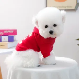 Détail du sweat à capuche rouge pour chien avec motif sur un Bichon Frisé blanc