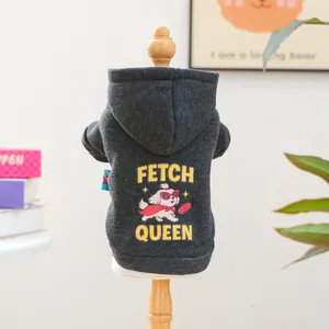 Détail d'un sweat à capuche gris pour animal avec motif chien sur un support en bois