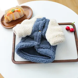 Détail d'un pull en laine d'agneau pour animaux avec contraste bleu et crème
