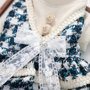 Détail macro d'une robe pour chien en tweed bleu avec nœud dentelle et strass